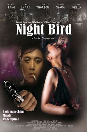 Night Bird's poster