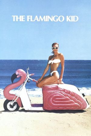 The Flamingo Kid's poster