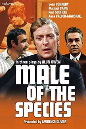 Male of the Species's poster