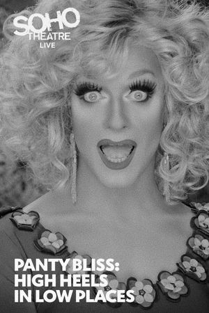 Panti Bliss: High Heels in Low Places's poster