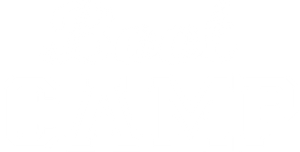 Boot Camp's poster