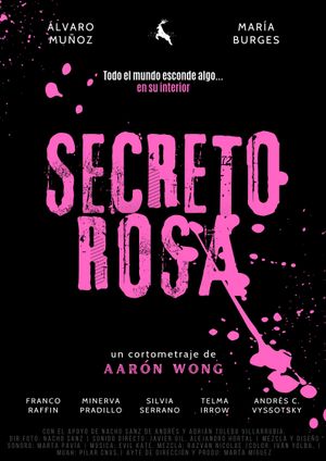 Secreto Rosa's poster