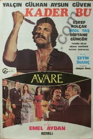 Kader Bu / Avare's poster