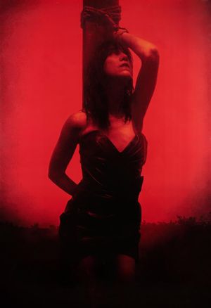 Lux Æterna's poster