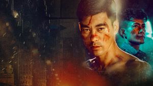 The Journey of a Boxer's poster