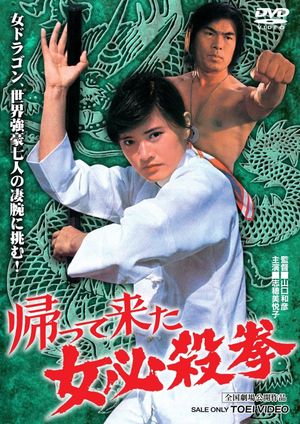 Return of the Sister Street Fighter's poster