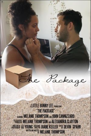 The Package's poster
