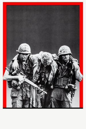 Platoon's poster
