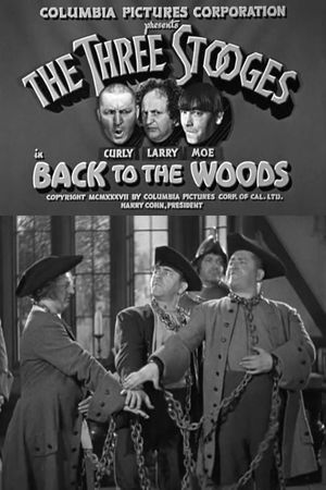Back to the Woods's poster