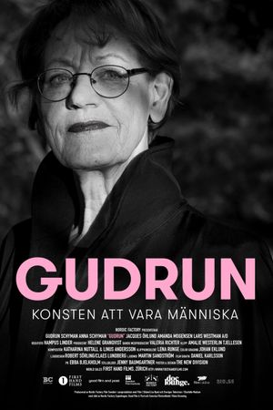 The Feminist: A Swedish Inspiration's poster