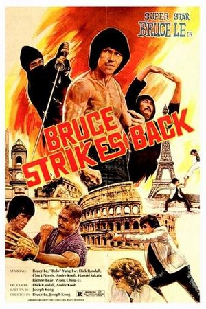Ninja Strikes Back's poster image