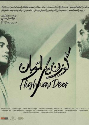 Highway Deer's poster