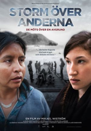 Storm in the Andes's poster