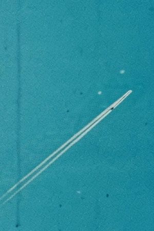 I Saw the Face of God in the Jet Wash's poster