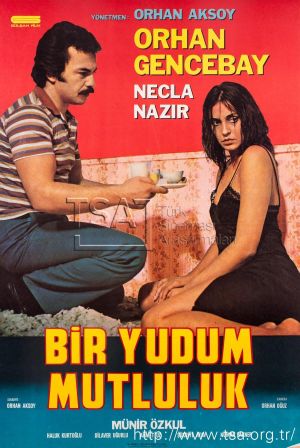 Bir Yudum Mutluluk's poster