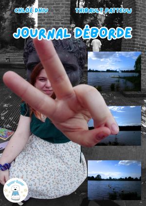 journal déborde's poster