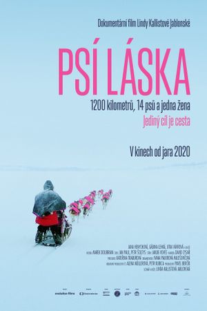 Psí láska's poster image