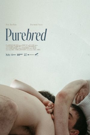 Purebred's poster