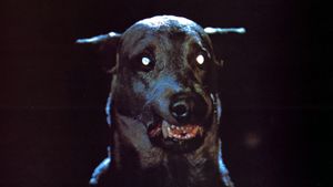 Dracula's Dog's poster