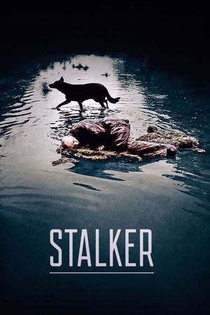 Stalker's poster