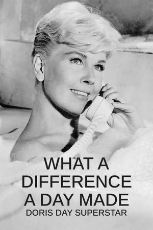 What a Difference a Day Made: Doris Day Superstar's poster