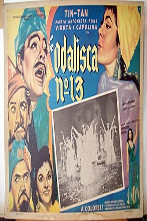 La odalisca No. 13's poster