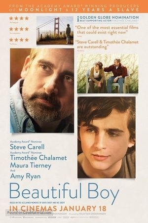 Beautiful Boy's poster