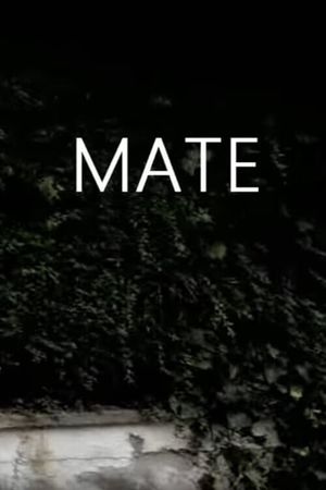 Mate's poster image