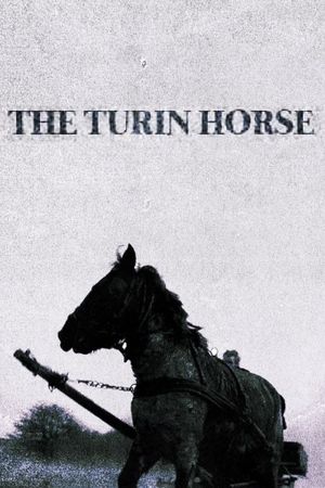 The Turin Horse's poster