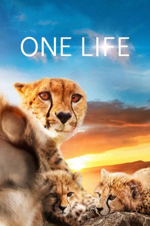 One Life's poster image