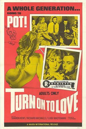 Turn on to Love's poster