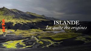 Iceland: The Quest for Origins's poster