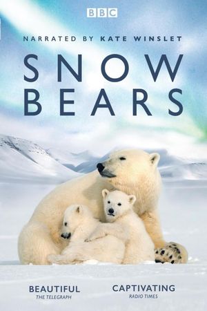 Snow Bears's poster