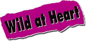Wild at Heart's poster