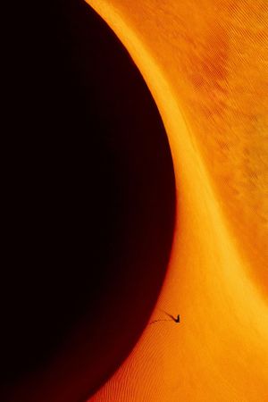 Dune: Part One's poster