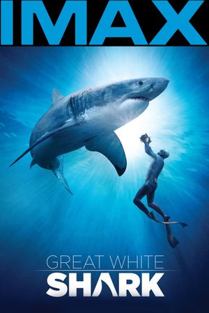 Great White Shark's poster
