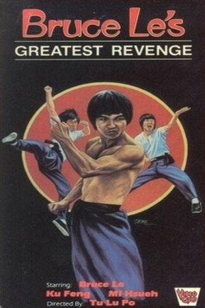 Way of the Dragon 2's poster