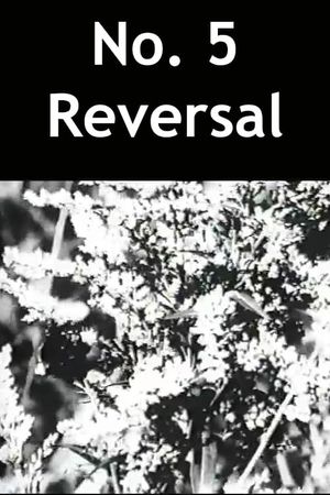 No. 5 Reversal's poster