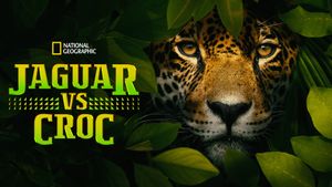 Jaguar vs. Croc's poster