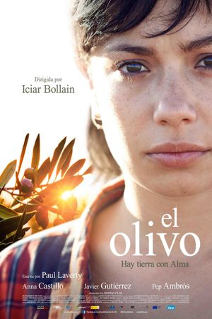 The Olive Tree's poster