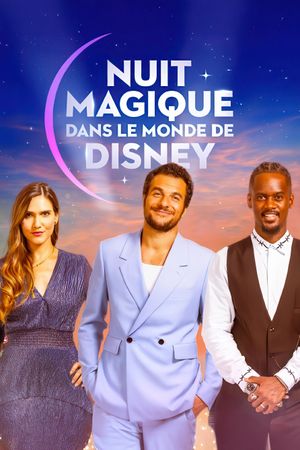 Magical Night in Disney World's poster