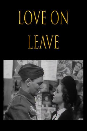 Love on Leave's poster