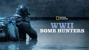 WWII Bomb Hunters's poster