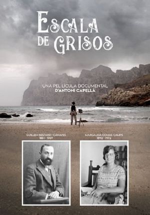 Escala de grisos's poster