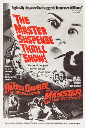 Manster's poster