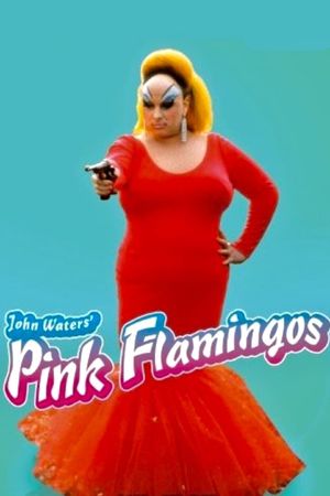 Pink Flamingos's poster