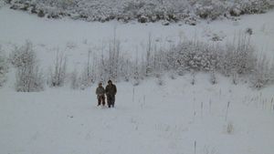 Chilly Scenes of Winter's poster