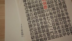Hanzi's poster