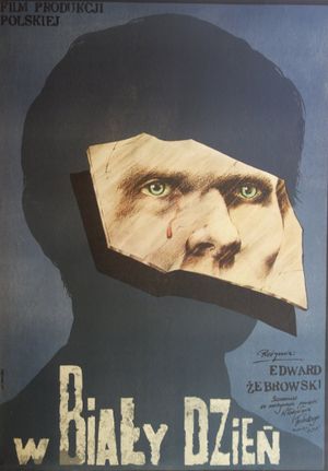 W bialy dzien's poster