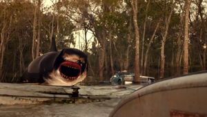 Trailer Park Shark's poster